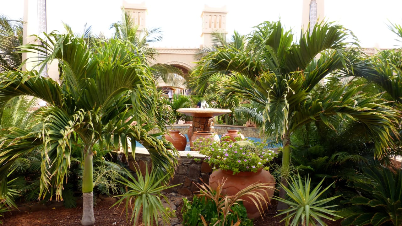 Springbrunnen Hotel Riu Touareg