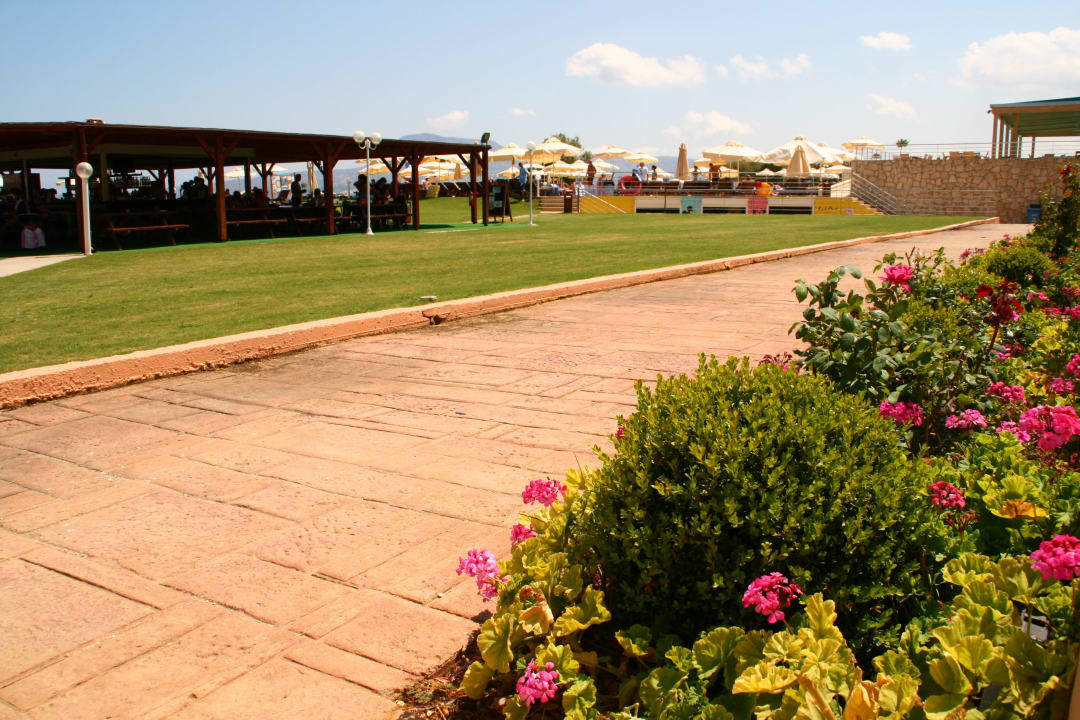 Poolbar Kiani Beach Resort Family All Inclusive