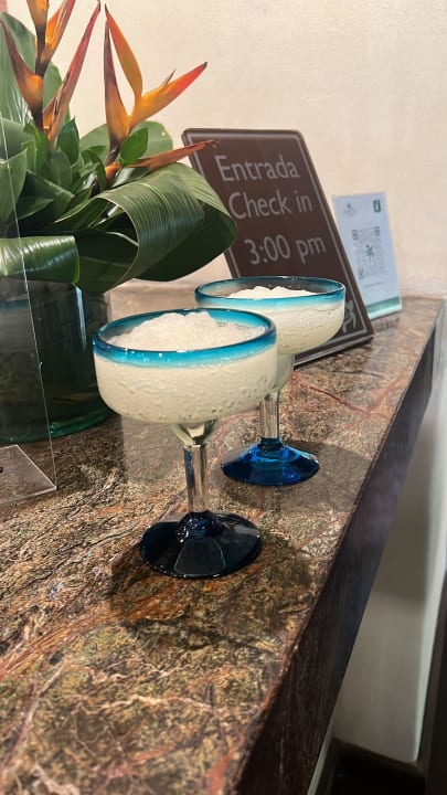 Gastro Akumal Bay Beach & Wellness Resort