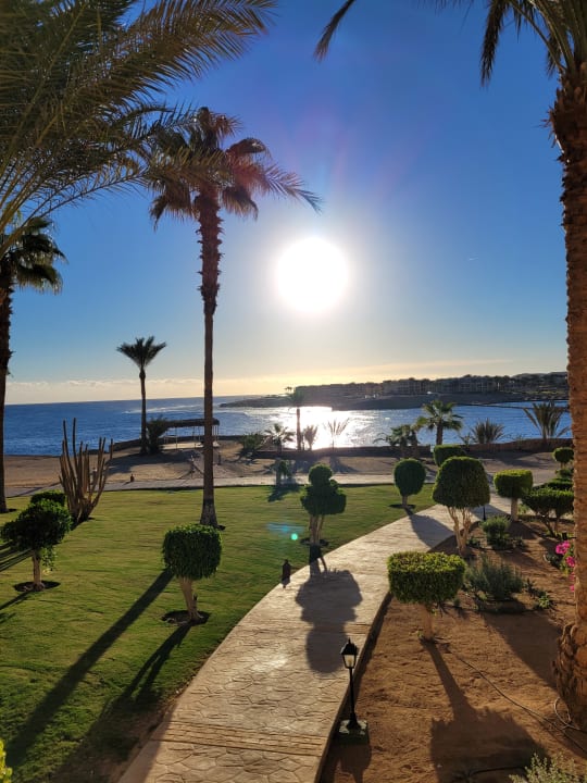 Gartenanlage Steigenberger Coraya Beach - Adults only