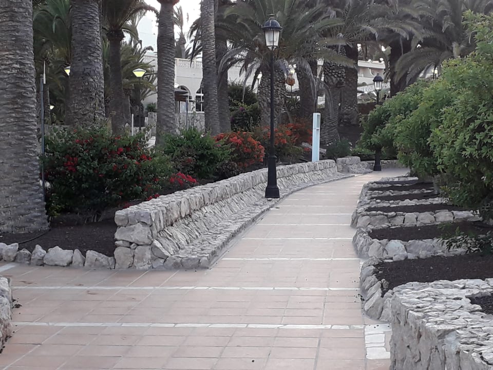 Gartenanlage SBH Monica Beach Resort