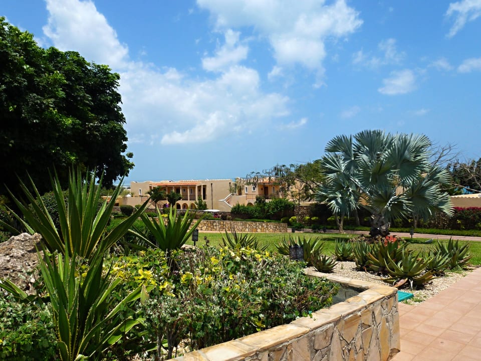 Garten Hotel Riu Palace Zanzibar