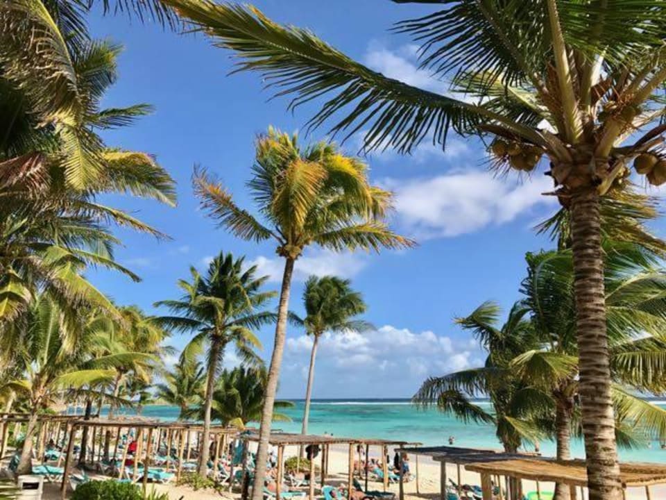 Blick vom Pool Akumal Bay Beach & Wellness Resort