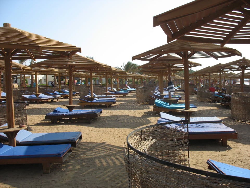 Свободные лежаки SUNRISE Royal Makadi Resort