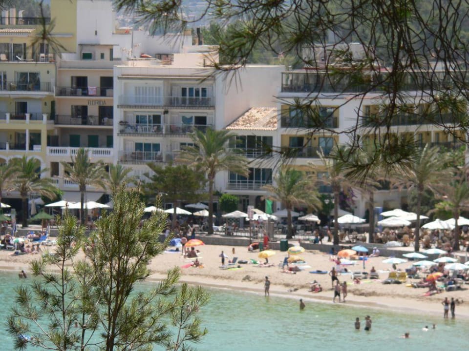 Вид с отеля на пляж Hotel Citric Soller