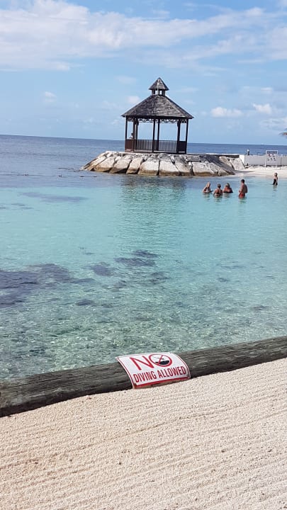 Hier kann man ein Dinner buchen  Secrets Wild Orchid Montego Bay - Adults only