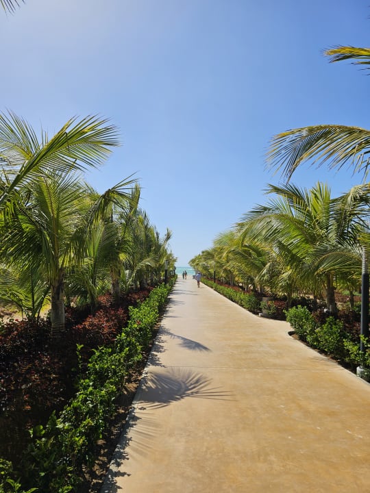 Gartenanlage Hotel Riu Palace Boavista