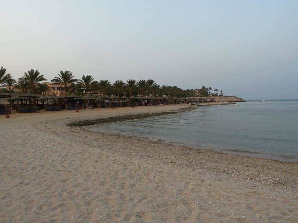 Reichlich Strand Steigenberger Coraya Beach - Adults only