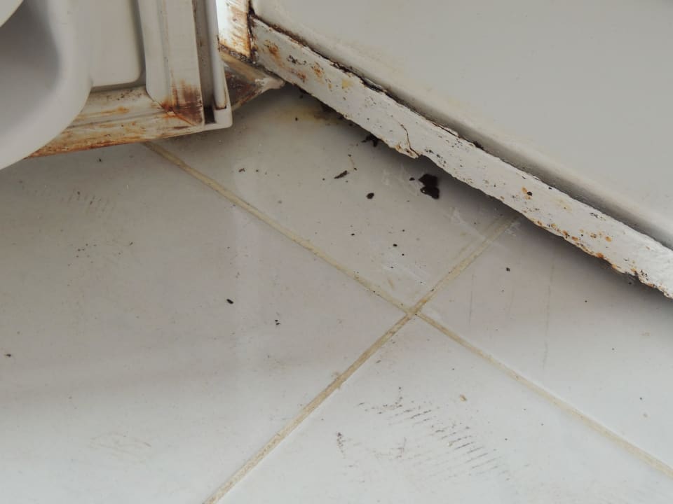 Dreck, Rost, Schimmel - Gefahr f. Gesundheit Maravilla Appartements