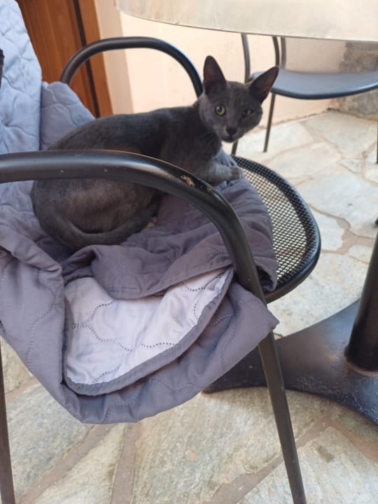 Sonstiges Apartments Ida Village I & II