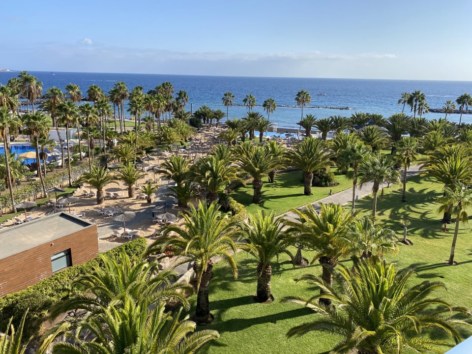 Gartenanlage Hotel Riu Palace Tenerife