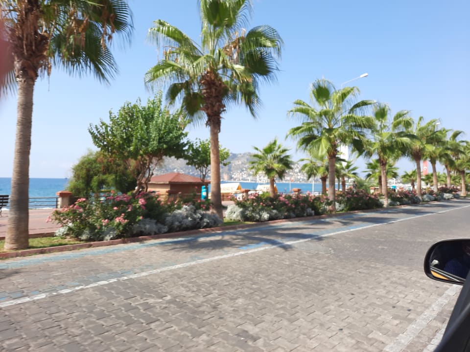 Gartenanlage Hotel Kahya