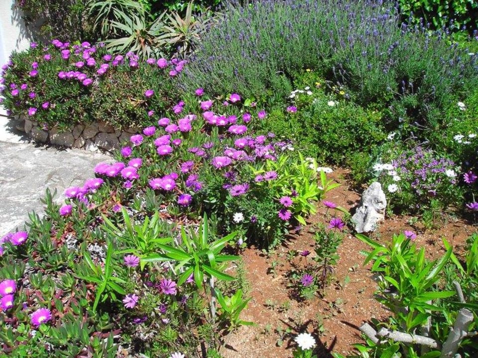 Garten El Refugio Villa Rosa