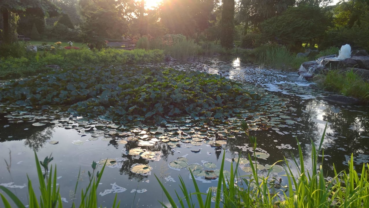 Hotel Rebstock in Durbach Hotel Restaurant Rebstock Durbach