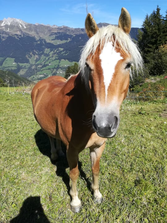 Sport & Freizeit Sporthotel Kalcherhof
