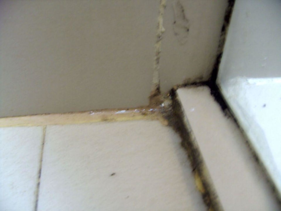 Schimmel in der Dusche Mermaid Hotel & Club