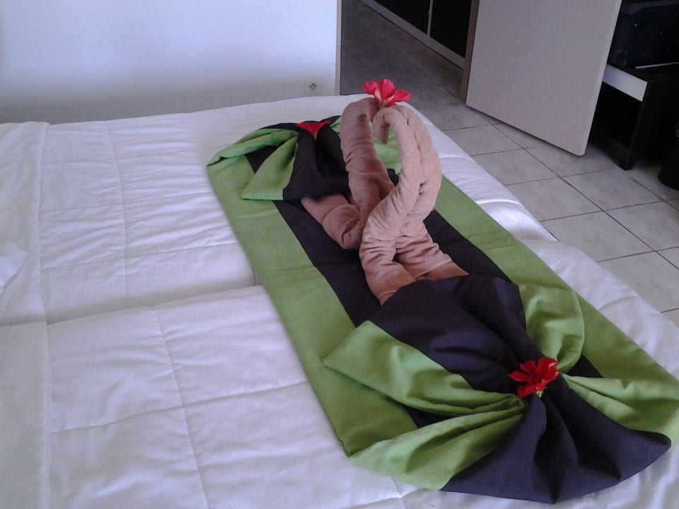 Für Trinkgeld Hotel El Mouradi Djerba Menzel