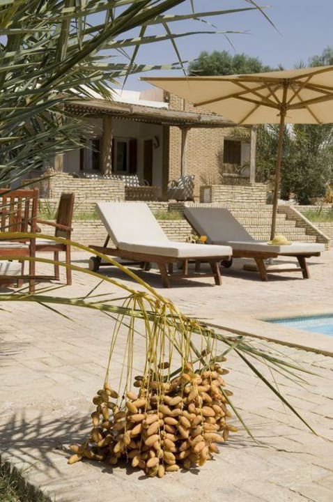 Jardin Villa Dar Zargouni