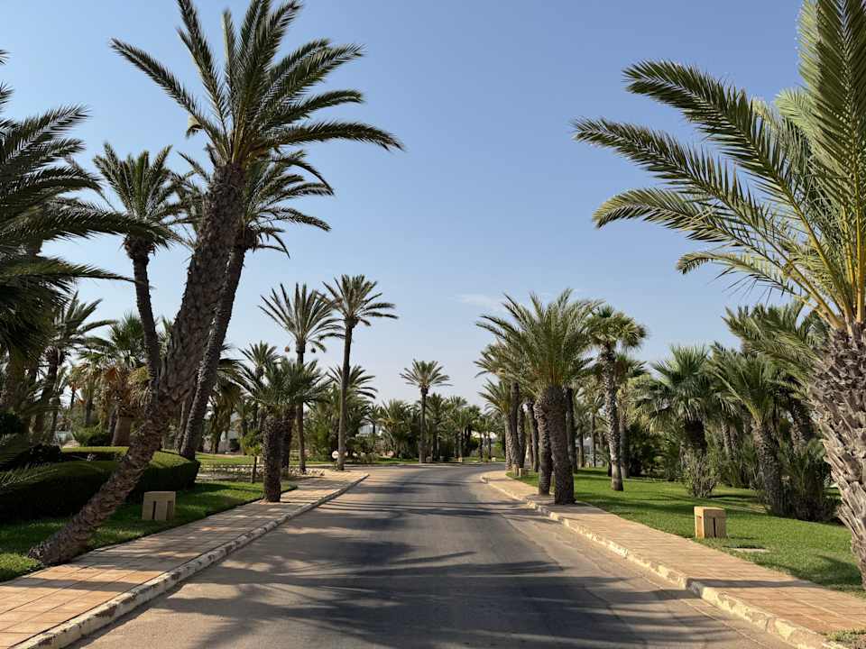 Gartenanlage Ulysse Djerba Thalasso & Spa