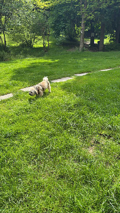 Gartenanlage Gästehaus Falkenau