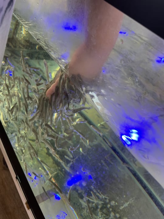 Sonstiges VONRESORT Golden Beach