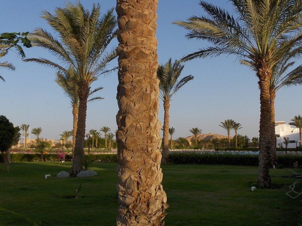 ,. Fantazia Resort Marsa Alam