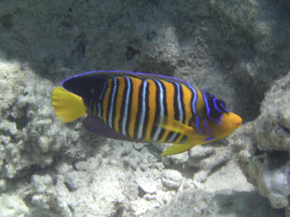 Sport & Freizeit Makadi Spa - Adults only