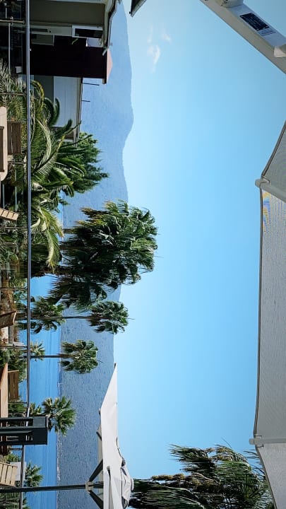 Ausblick TUI MAGIC LIFE Bodrum - Adult Only (16+)
