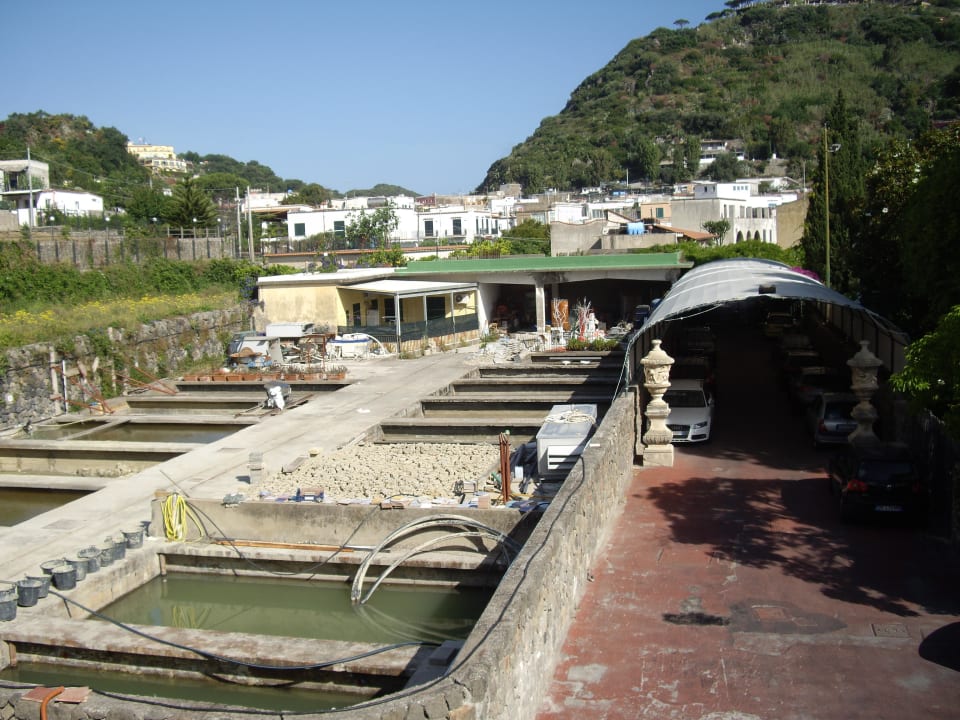 Blick aus Zimmer 110 auf die Fangoanlage und Parkplatz Albergo La Reginella Resort & SPA Ischia