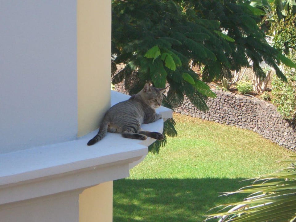 Wir gehören auch dazu Villa Rosalva