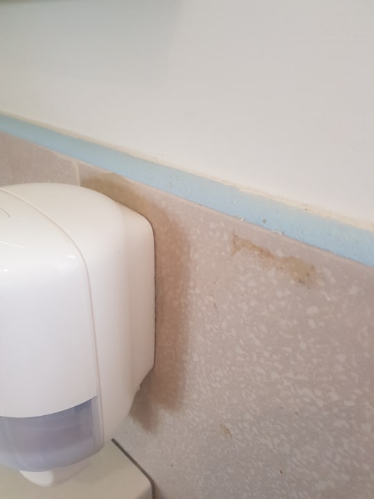 Zimmer Atlantica Plimmiri