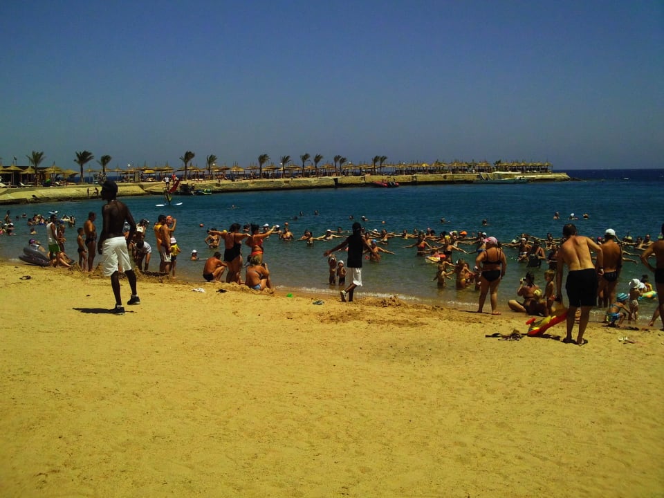 Animatiosn am Strand Beach Albatros Resort