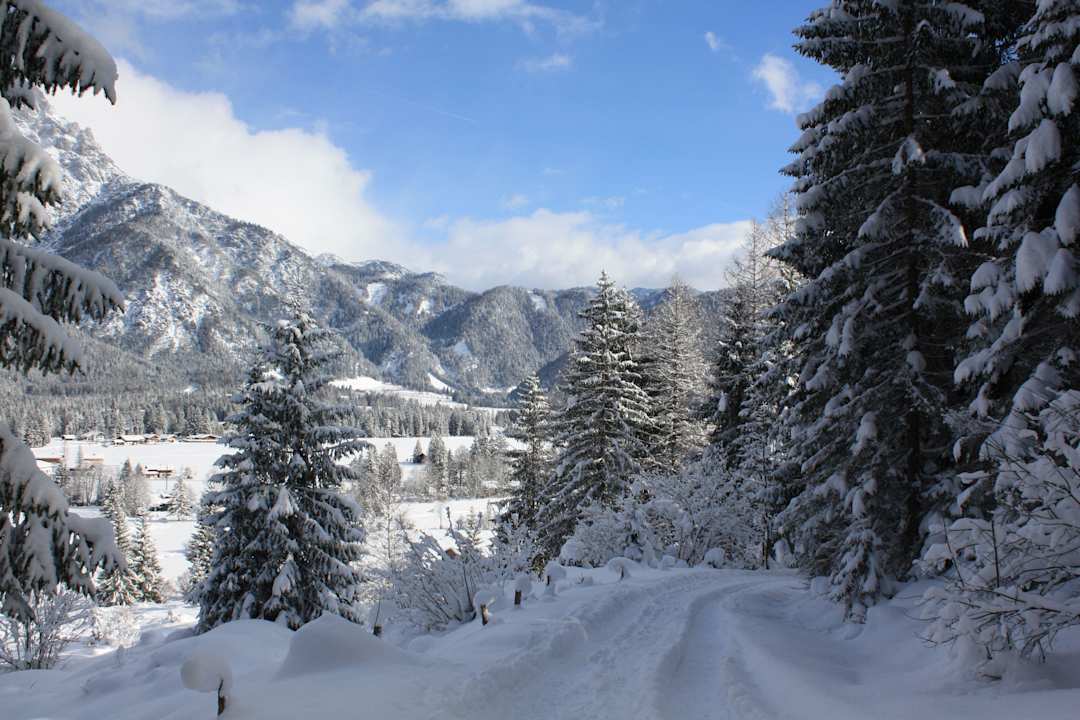 Winterlandschaft Pension Grieseltal