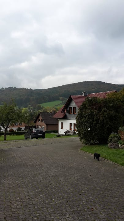 Blick vom Parkplatz Wiesenberghof