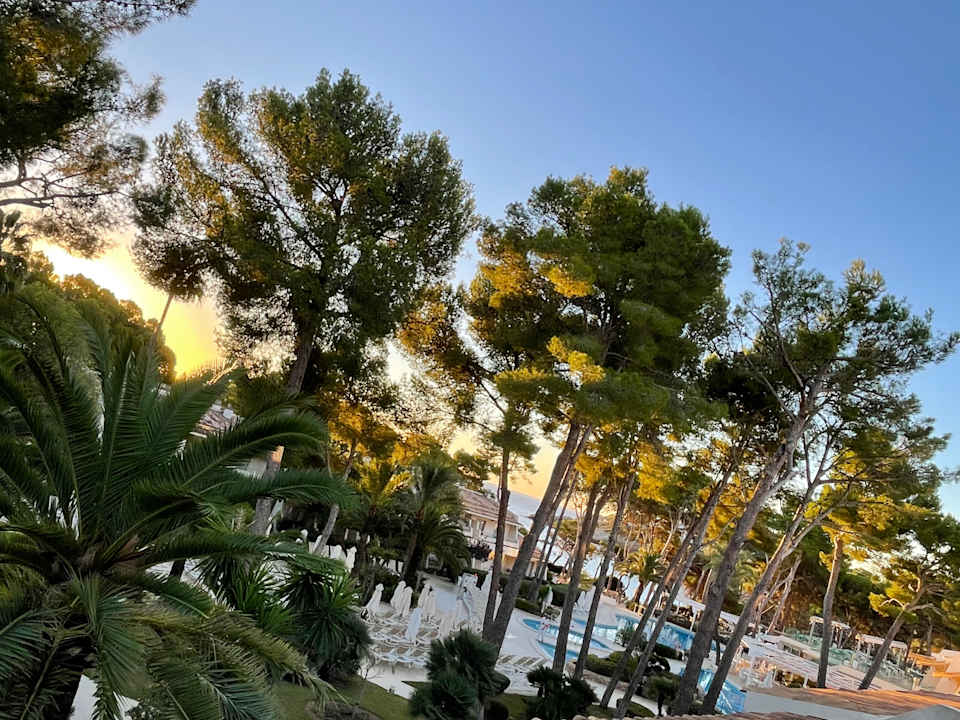 Zimmer Iberostar Waves Pinos Park