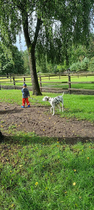 Außenansicht Ferienhof Zur Alten Fuhrmanns-Schänke