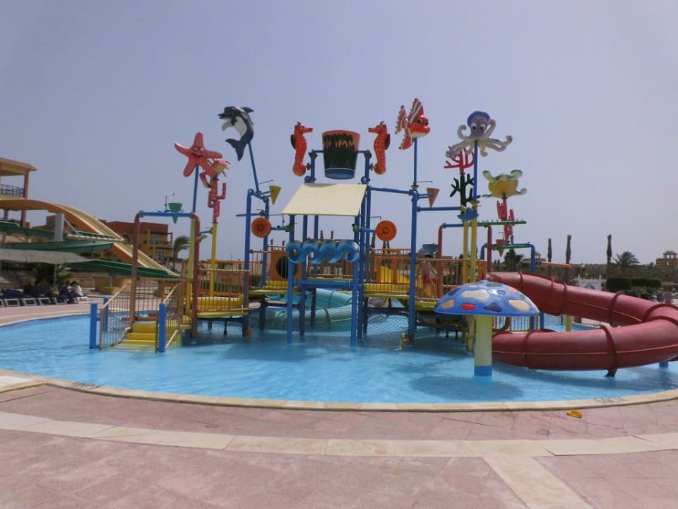 Pool Malikia Resort Abu Dabbab