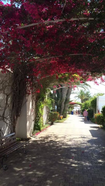 W drodze na plaze El Mouradi Club Kantaoui