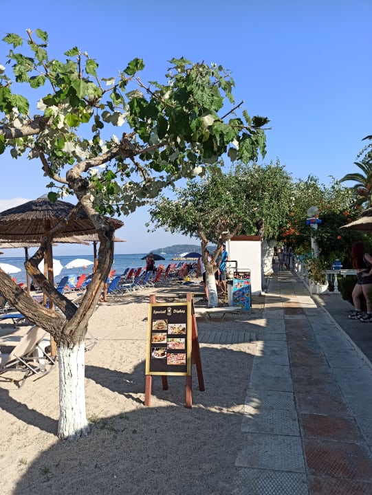 Strand Hotel Albatros