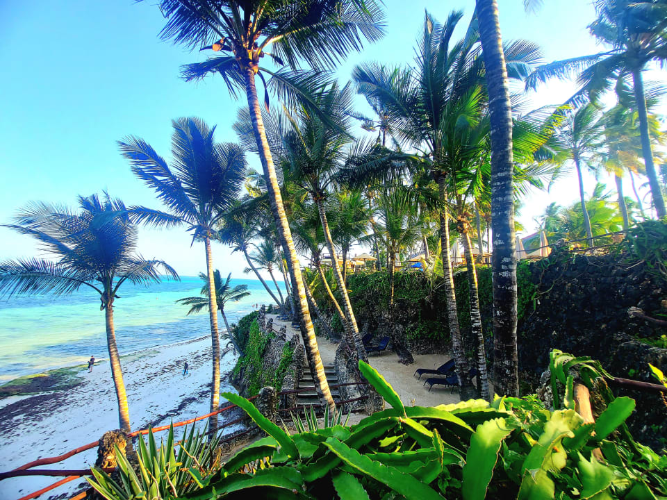 Gartenanlage Bahari Beach Hotel