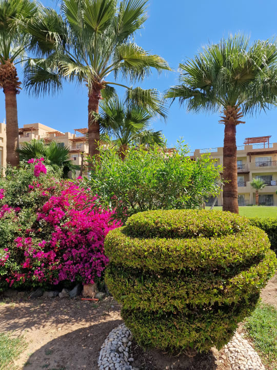 Gartenanlage Shams Safaga Resort