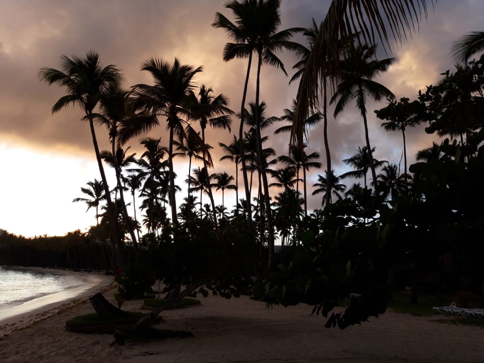 Strand Wyndham Alltra Samana