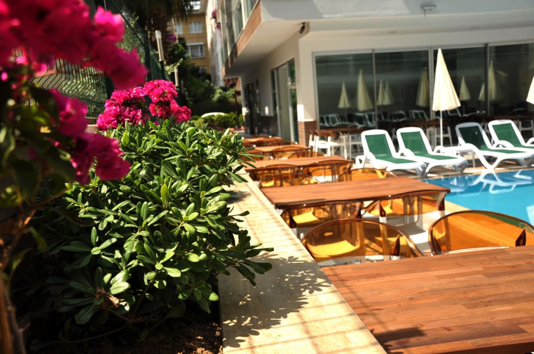 Pool - Snack Kleopatra Atlas Hotel