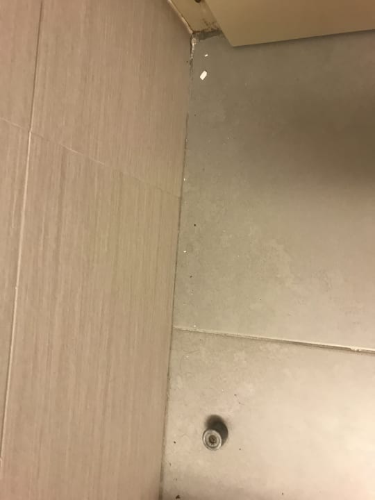 Zimmer blau punta reina