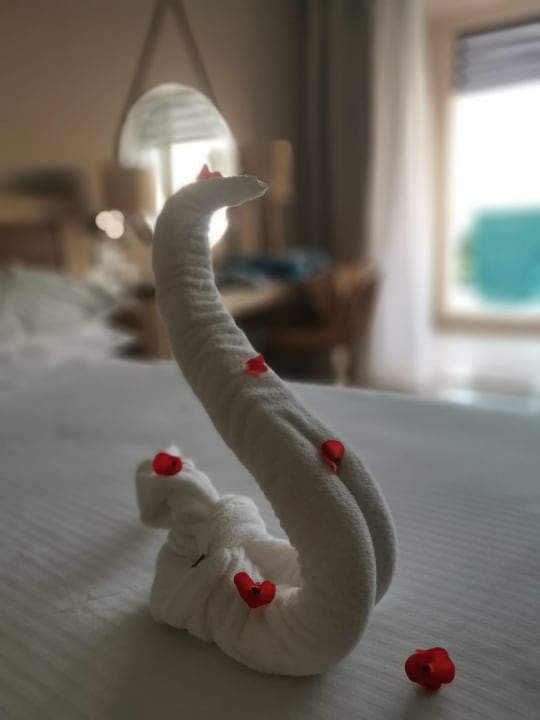 Zimmer Steigenberger Resort Ras Soma