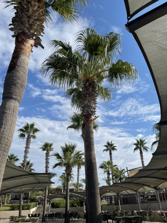 Gastro TUI BLUE Palm Garden