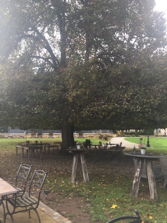 Sonstiges BollAnts Spa im Park