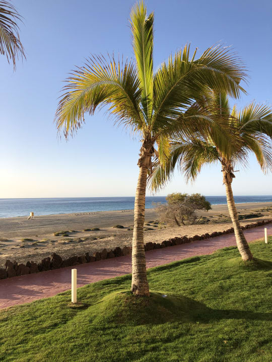 Strand Iberostar Selection Fuerteventura Palace