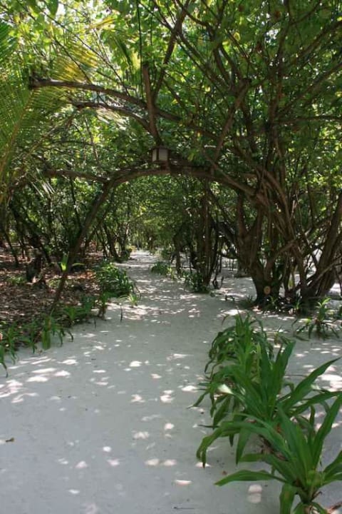 Weg in der Inselmitte NH Collection Maldives Reethi Resort