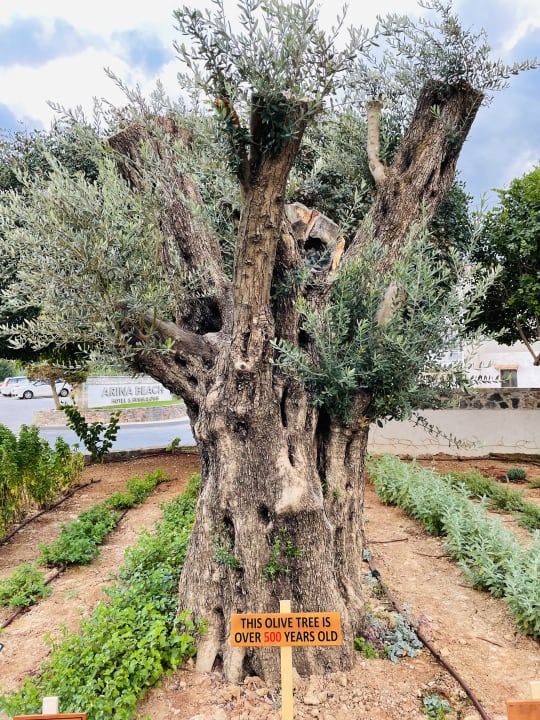 Außenansicht Arina Beach Resort